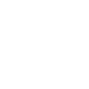 icon1