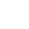 icon2